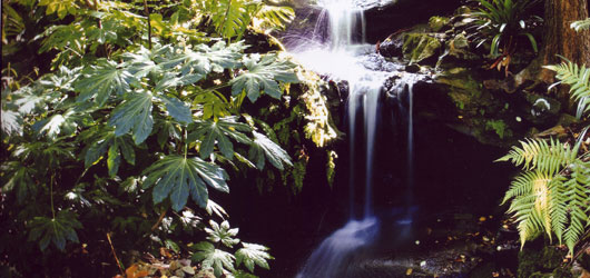 Lisgar Gardens