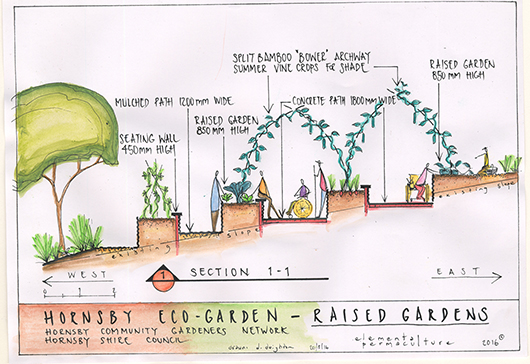 Edgeworth David Community Garden