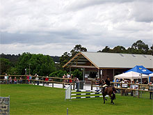 Rural sports 2