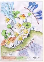 Site Analysis