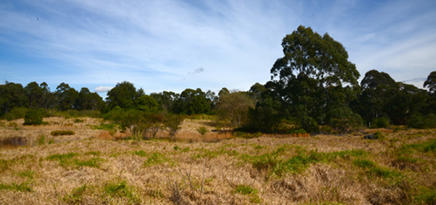 Westleigh Park