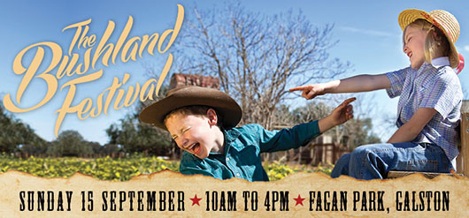 Bushland Festival 2013 banner