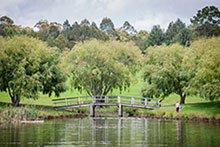 Fagan Park Bridge