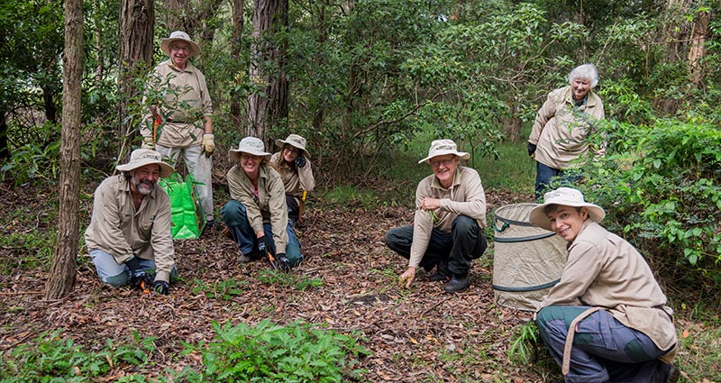 bushcare