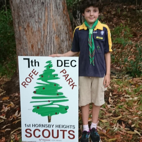 HH Scouts Xmas trees sale