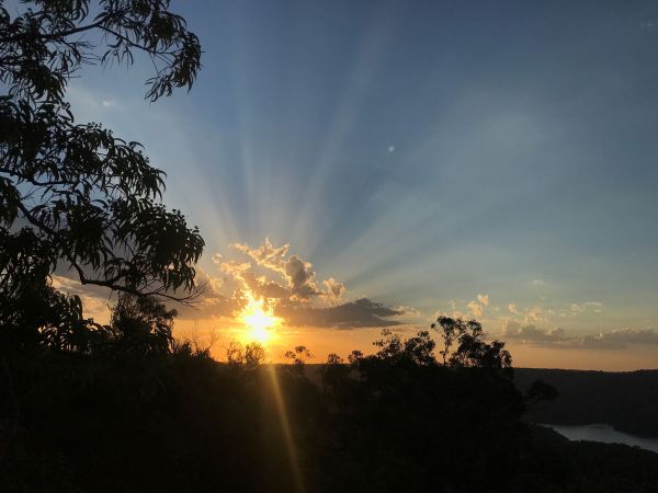 <strong>Gratitude - Nikki Volonte</strong><p>As I watch the sun go down, I give thanks to nature. All the beauty and tranquillity that surrounds me in this moment is my meditation, a moment for me to be connected to earth without noise, chaos and expectations. This is one of my favourite little spots in the Hornsby Shire where I feel peace, contentment and gratitude. Nikki</p>