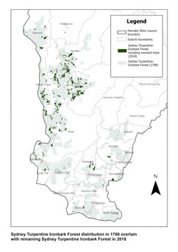 STIF Distribution Map