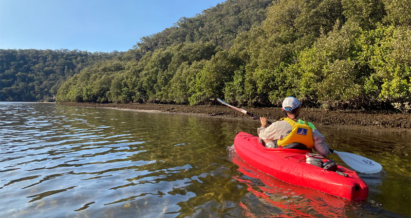 kayaker near mangroves