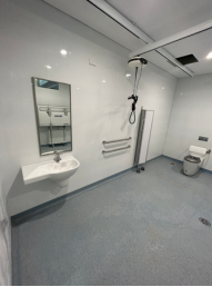 room with toilet and sink