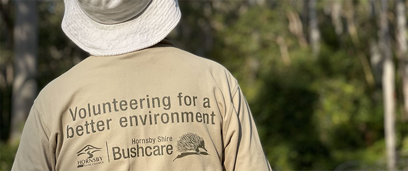person's back with Hornsby Volunteer top on