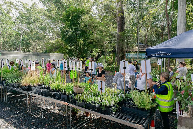 large group at nursery