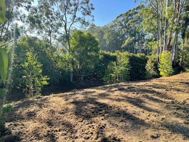soil area on ground