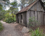 Australian Garden