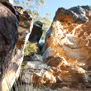 Rocky Outcrop by Daniel Nolan