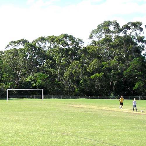 sportsground