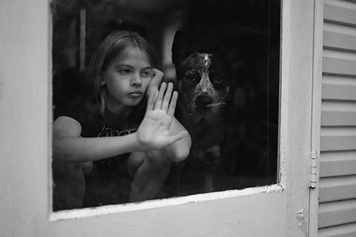 child looking through door window with dog