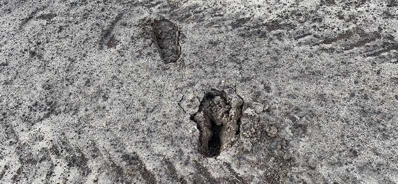 close up image of wet soil and deep footprints