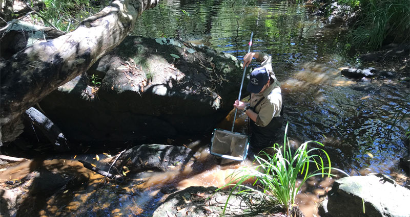 Water sampling