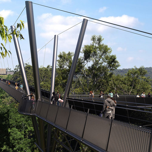Hornsby Park sky walk and cable bridge