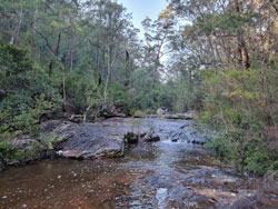 bushland creek