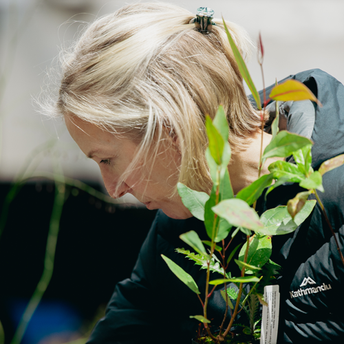 Native Plant Giveaways