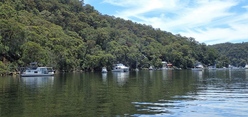 Berowra Waters woolwash