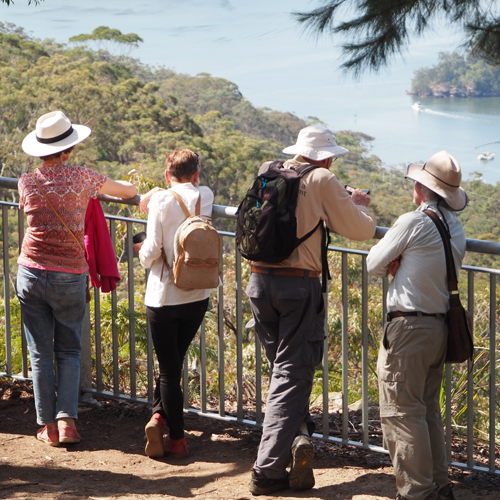 guided bushwalks