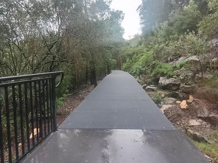 winding boardwalk path