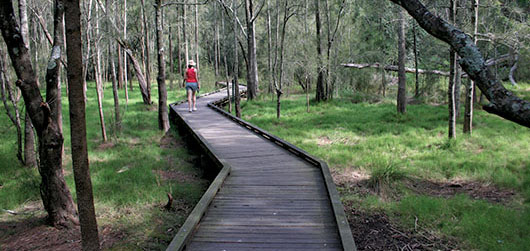 Bushwalking