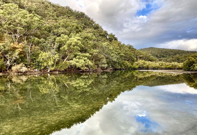 <strong>© Helen Curry – Reflecting on Cockle Creek</strong>