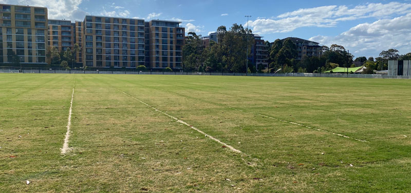 Mark Taylor oval complete