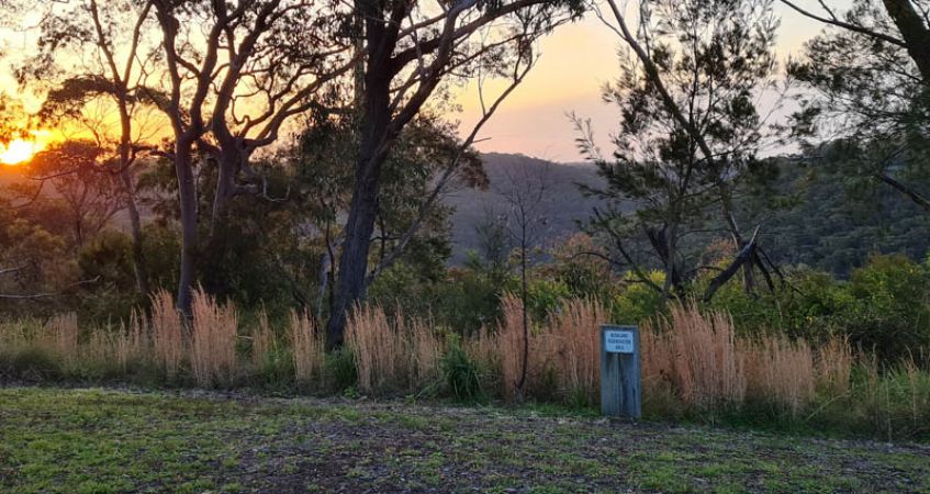 <strong>Sam's Creek Sunset by Stuart Jackson</strong>