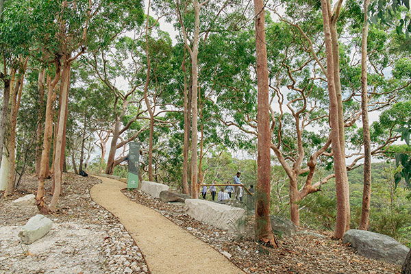 stoney path with trees and lookout