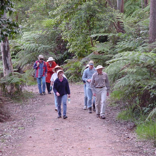 bushwalks