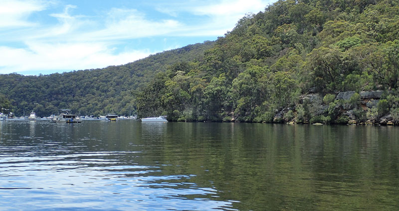 looking into Berowra Waters