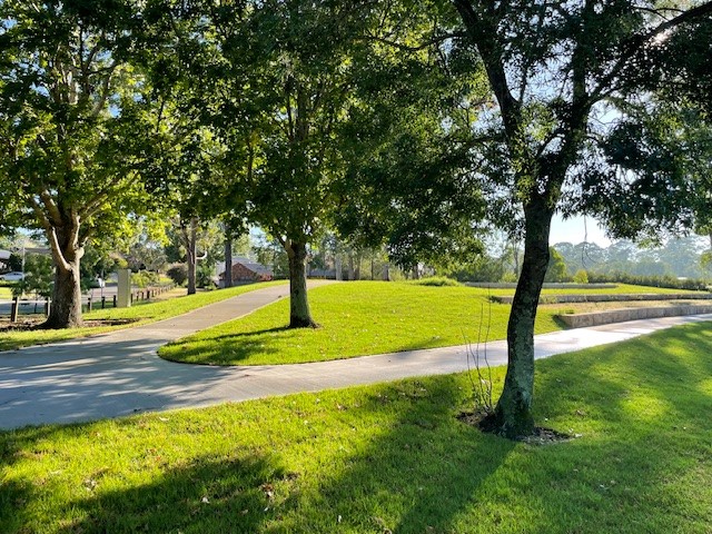 path with trees and grass