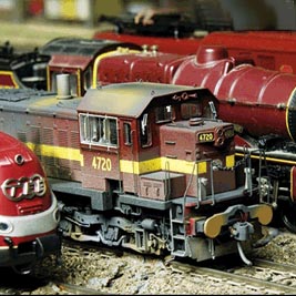 Thornleigh train exhibition