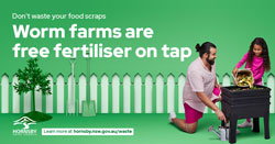 worm farm