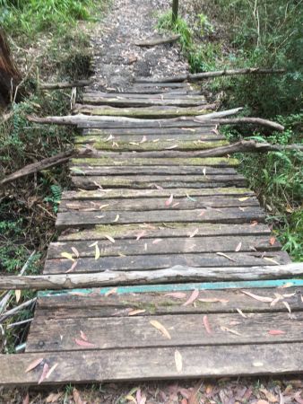 <strong>Bridge Scout Creek by Don Davidson 2021</strong><p>I was in search of a great pic for the annual Bushcare photo competition. Early one morning I was hiking through Lane Cove National Park from the scouts centre at Pennant Hills and found this makeshift bridge to cross the creek from a bush track.</p>
