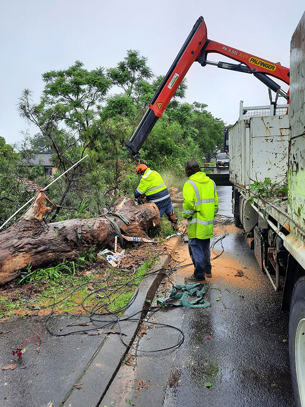 Workers with tree stump alongside truck and crane