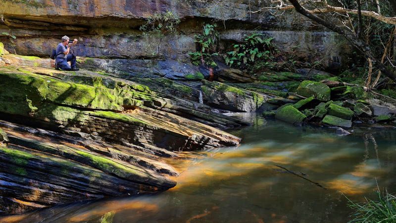  <strong>Still Creek Nature Photography by Petra Holland</strong>