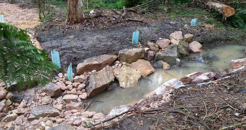 stormwater harvesting brooklyn