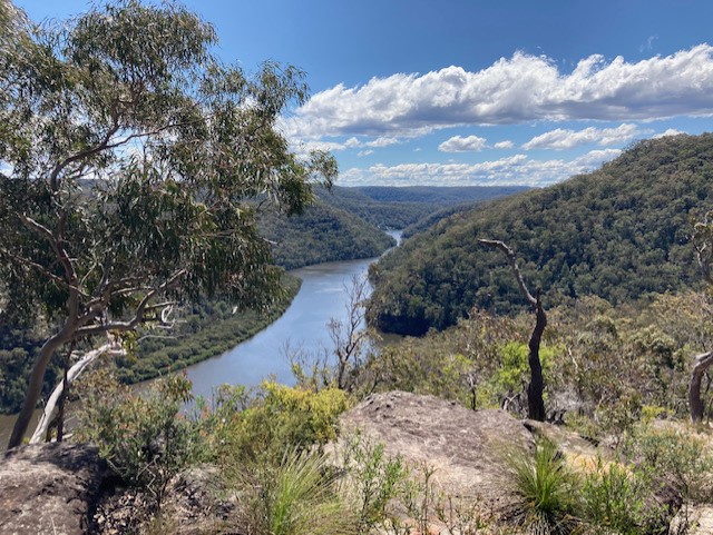 view of river flowing through bushland