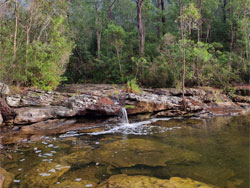 bushland creek