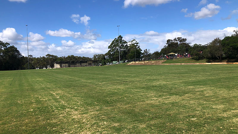 park grass with path