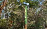 Berry Park Butterfly post