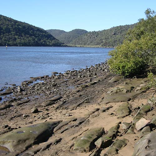 Lower Hawkesbury Estury