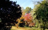 Fearnley Park Playground