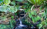 Lisgar Gardens cascades