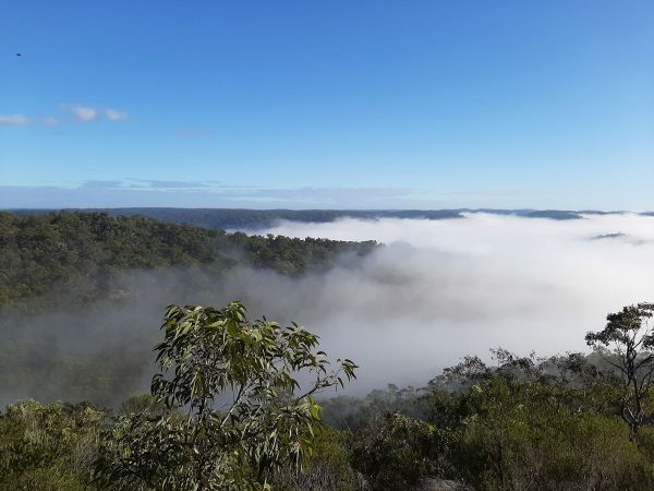 <strong>© Julie Green – Mist in the Valley</strong><br>The photo was taken on one of the many bushwalks (for exercise) our family enjoyed during the first COVID lockdown. A positive from COVID was there was time to enjoy the beauty of our bushland. The fog made for a mysterious feeling of what lay beneath in the valleys and ridges.